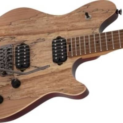 EVH Wolfgang Exotic Bkd Maple Fingerboard Spalted Maple for sale