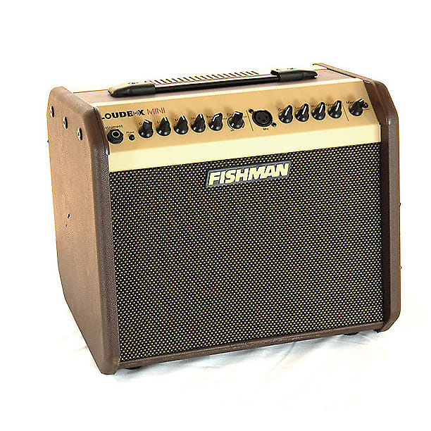 Fishman Loudbox Mini 60-Watt 1x6.5 Acoustic Combo Amp | Reverb Canada