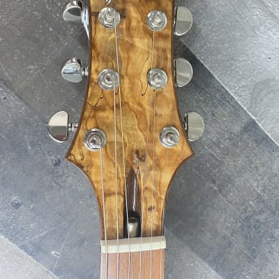 Peters Double cut Les Paul style guitar with original case! image 16