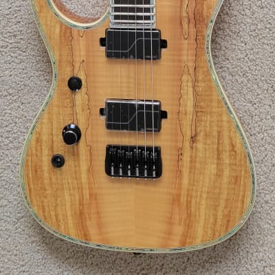 B.C. Rich Shredzilla Extreme Exotic Electric Guitar, Left Handed, Spalted Maple, New Hard Shell Case image 2