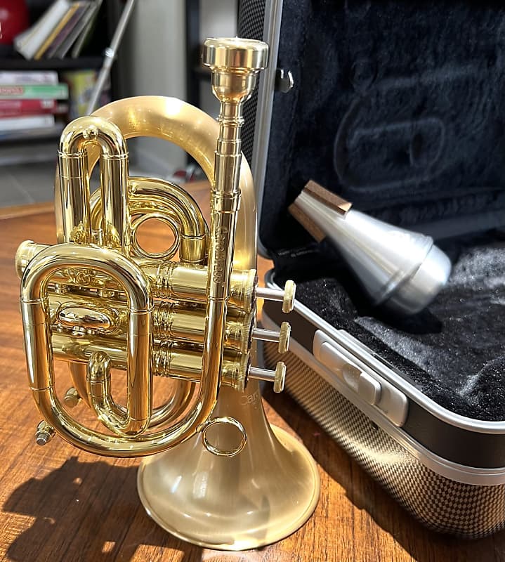 Carol Brass Pocket Trumpet CPT-3000-GLS - Trumpets for students to