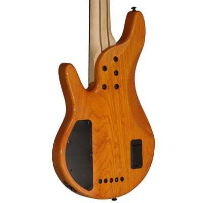Michael Kelly Pinnacle 5 5-String Bass Guitar (Hollywood, CA) image 2