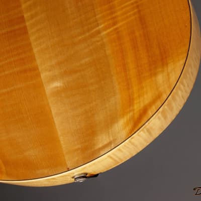 2003 Marchione 16″ Siren Archtop, Maple/Spruce image 16