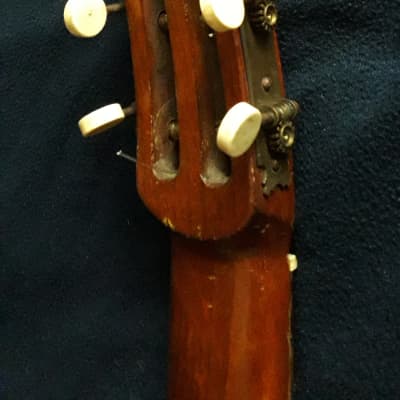 German Lute-guitar (1930) image 14