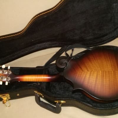 Furch MF 22SF mandolin with K&K pickup and hard shell case image 10
