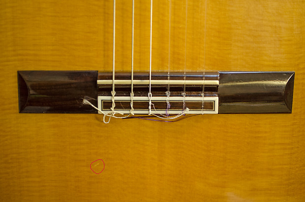 Takamine Hirade H8