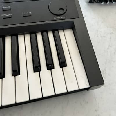 Roland Pro-E 37-Key Intelligent Arranger 1989 - 1990 - Black image 5