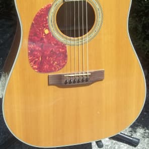Carvin Cobalt 850 Acoustic/Elect. Guitar w/Original Hard Case~Lefty,Left Handed image 2