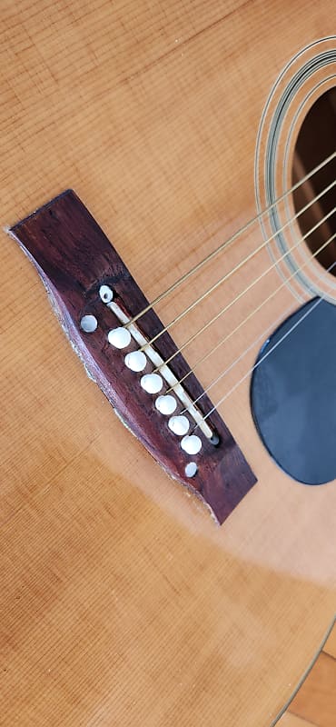 Maya Acoustic Guitar F 301 | Reverb