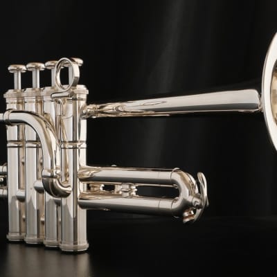 Brasspire Unicorn Piccolo Trumpet: Amazing Value and Performance! Bild 4
