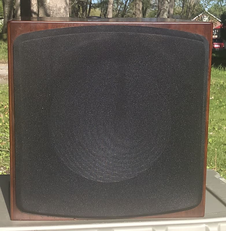 Rxw best sale 12 subwoofer