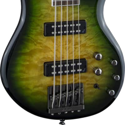 Jackson JS Series Spectra Bass JS3QV 5-String Bass Guitar, Alien Burst image 2