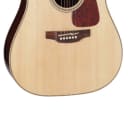 Takamine GD93CE Three-Piece Back Acoustic/Electric Guitar