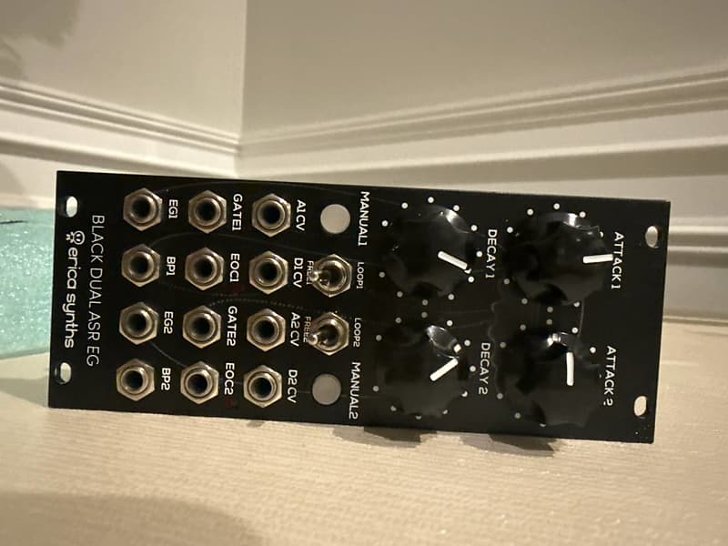 Erica Synths Black Dual ASR EG