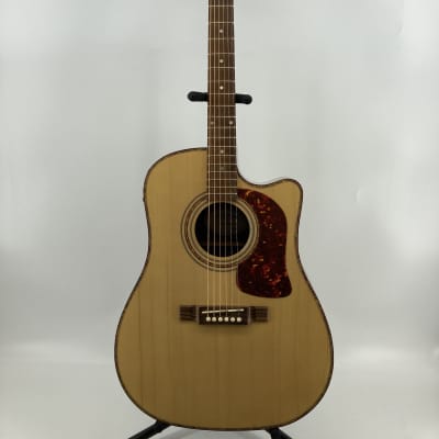 Washburn DK20CET Acoustic Guitar image 1