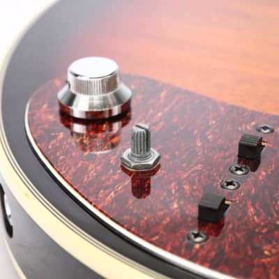 Burns London Brian May Signature Series Electric Guitar Euro Soft Case #49063 image 22