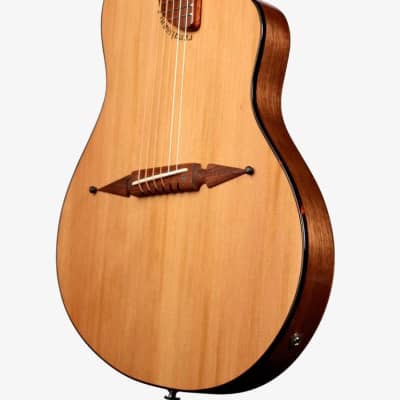 Rick Turner Renaissance RS6 Cedar / Walnut #5906 image 5