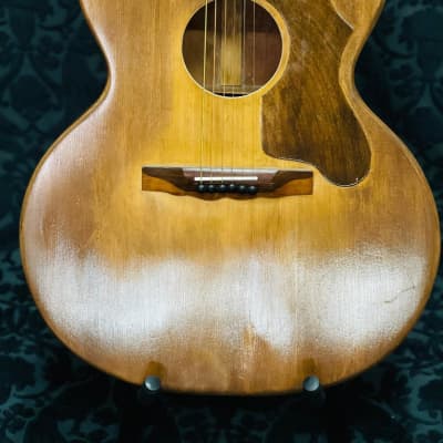 Pacific Tzigani for sale
