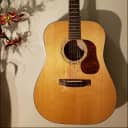 Cort Gold D6 Acoustic/Electric W/NewHSC