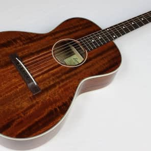Eastman E10OO-M Double OO Acoustic Guitar w/ HSC, 12-Fret, Solid Mahogany, DEMO!! #28377-2 image 2