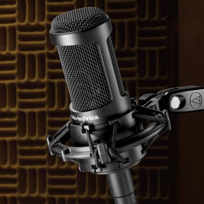 Audio-Technica AT2050 Multi-pattern Condenser Microphone image 5