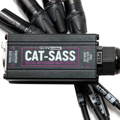 Elite Core CAT-SASS Special Application Snake System - (4) 5 Pin Female DMX/AES image 2