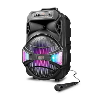 MPD1221- Maxpower Ultra 12 Karaoke Speaker Pack image 2