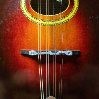 Gibson A4 1921 - Sunburst - VIDEO image 8