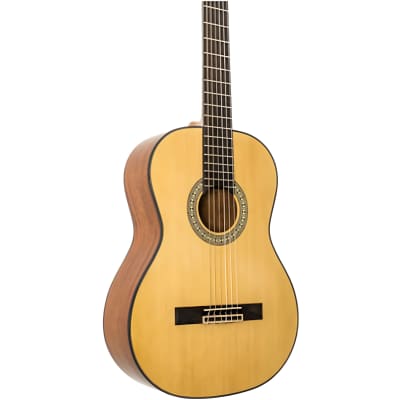 Peavey Delta Woods CNS 3/4 Size Classical Nylon String Acoustic Guitar image 2