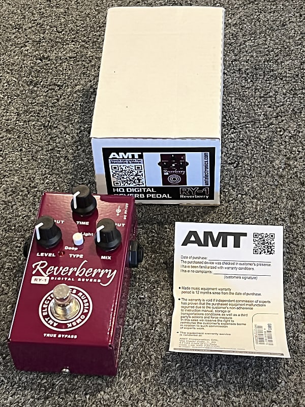 AMT Electronics RY-1 Reverberry Digital Reverb Guitar