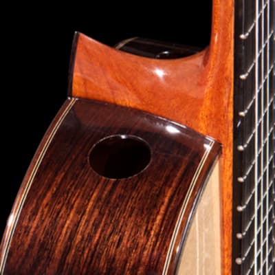 New World Player Model 640mm Guitar with Ported Sound Hole Upgrade, Cedar Top and Hard Case image 2