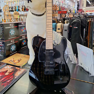 Fernandes TE-75 BT / BUCK-TICK Hoshino model | Reverb