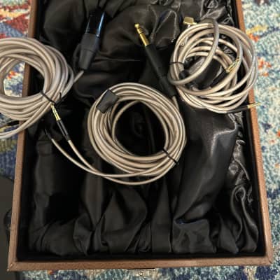 Hifiman HE1000SE Planar Headphones! image 2