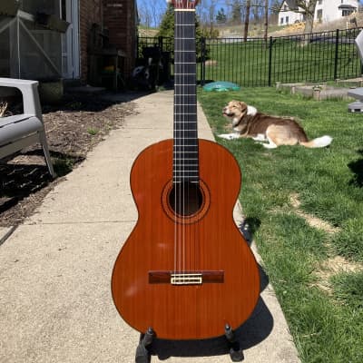 Jose Ramirez Clase 1A Classical Guitar (1976), ser. #9565, molded