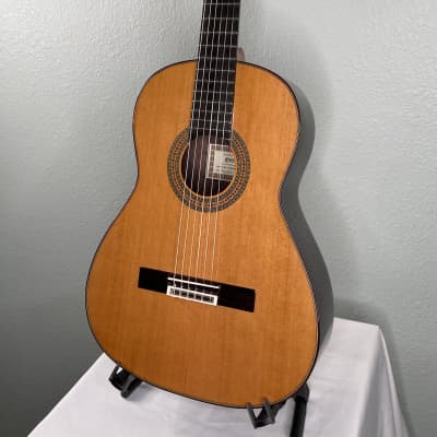 Esteve Alegria Classical Guitar Cedar & Indian Rosewood w/case *made in Spain image 4