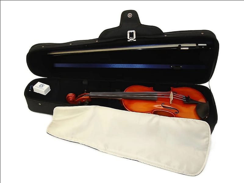 Eastman on sale 100 violin