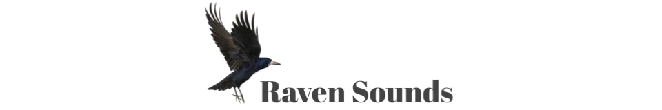 Raven Sounds