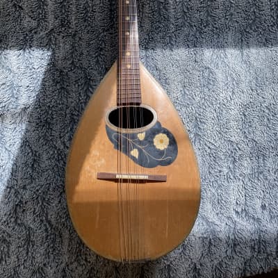 Francesco Catania Mandolin 1940-1950 | Reverb