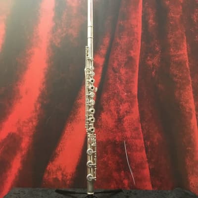 Muramatsu Heavy Flute (Tampa, FL) image 1