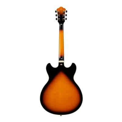 Ibanez AS113BS AS Series Artstar 6-String Hollow Body Electric Guitar (Brown Sunburst) image 6