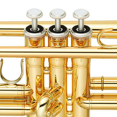 Strauss 6300 Student Trumpet Outfit, Our Best Deal image 2