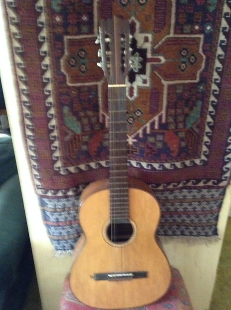 1954 Tranquillo S.A.Giannini No.514 & Original case | Reverb