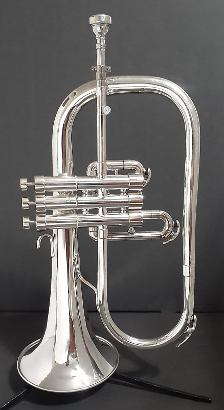 Getzen ETERNA 895S- 3 Valve FLUGELHORN , Mouthpiece & 2 Handle Combo Hard  case . 1964-1967 - Silver plated