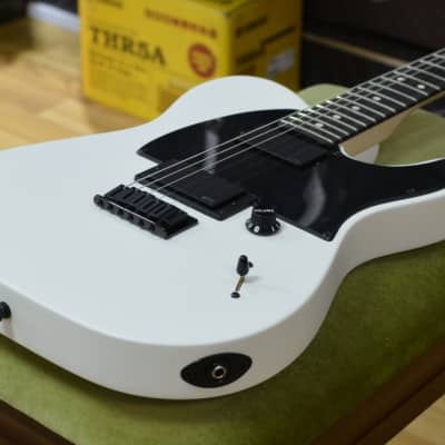Fender Artist Jim Root Telecaster Flat White Electric Guitar & Deluxe Black Tweed Hardshel image 3
