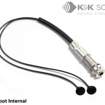 Highlander IP2 coaxial + Internal Mic | Reverb