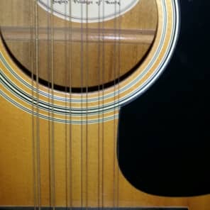 Carlos Acoustic Guitar image 2