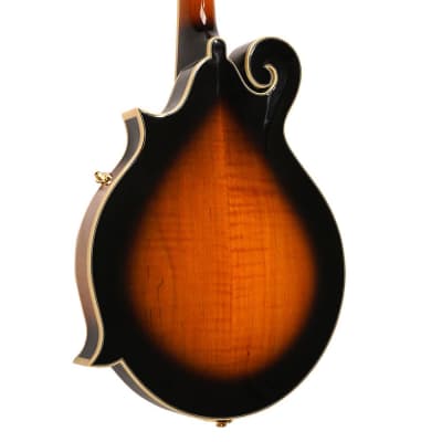 Gold Tone F-Style Mandolin, Carved Spruce Top, Two Tone Tobacco image 2