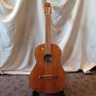 Aria AC-8 - Natural for sale