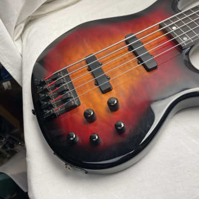 Carvin USA Bunny Brunel Signature Model Fretless 5-string Bass image 6