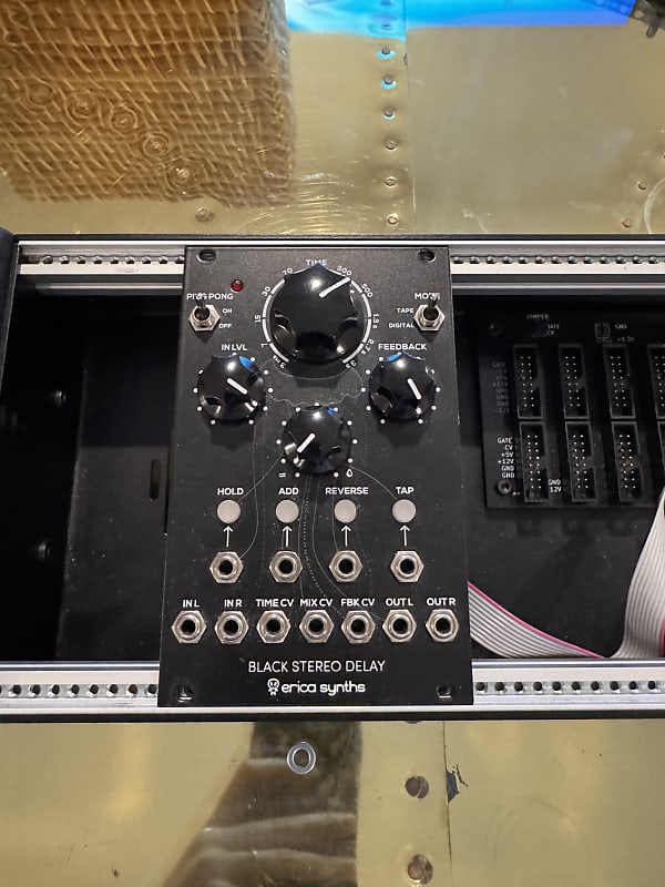 Erica Synths Black Stereo Delay
